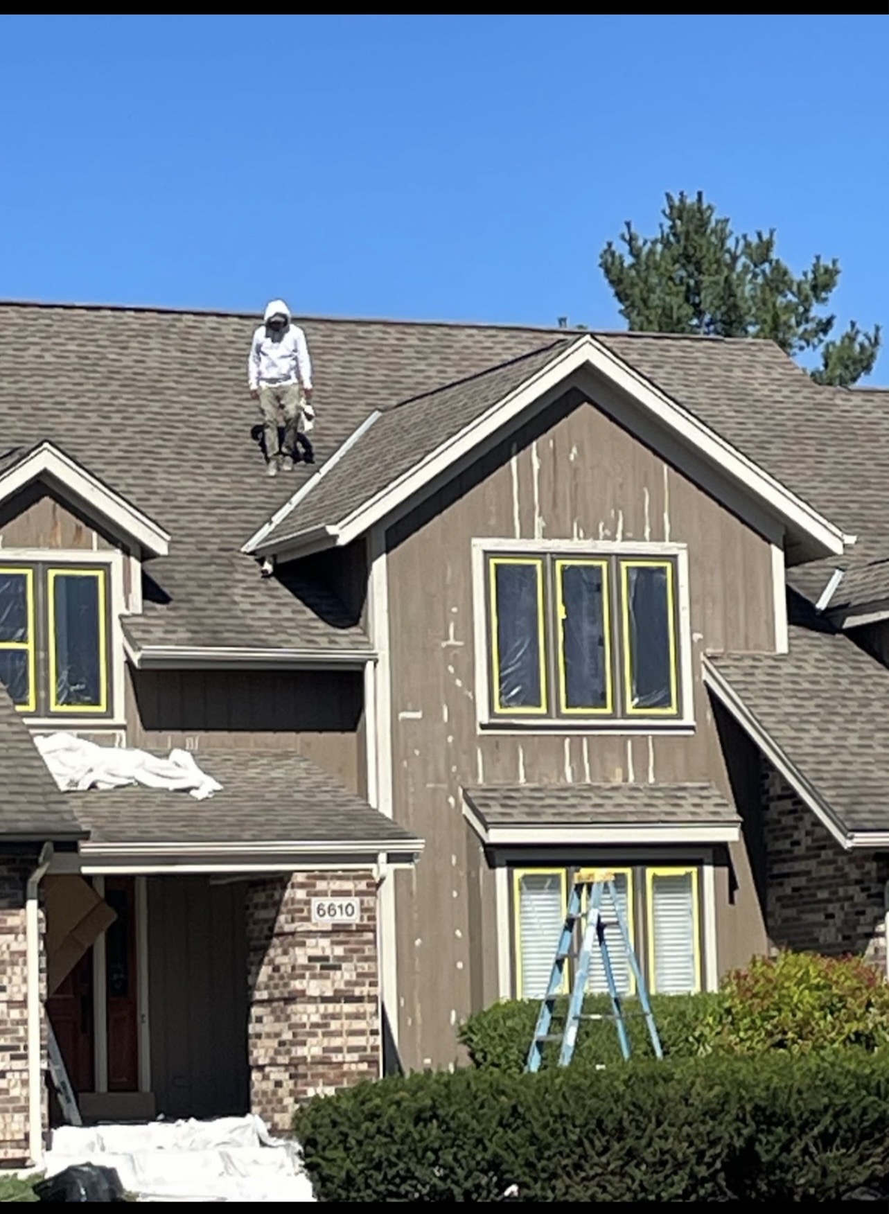 Exterior painting project 7